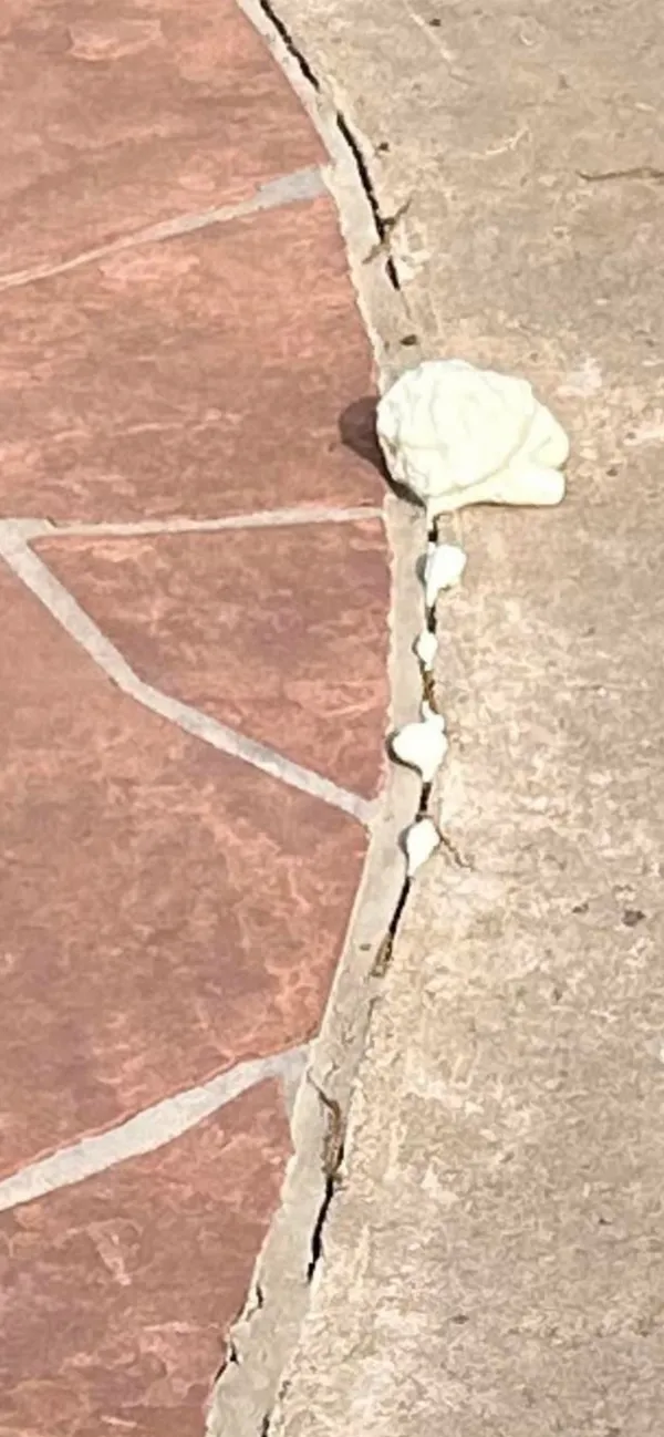 Pool Deck Foam Injection