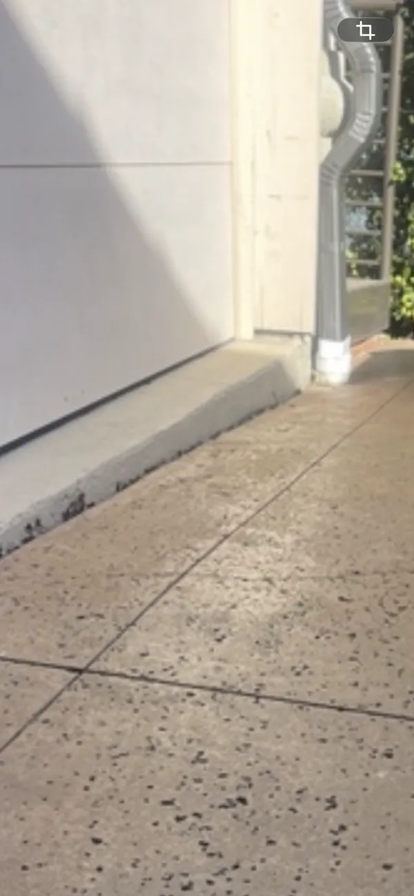 Sidewalk Downspout After