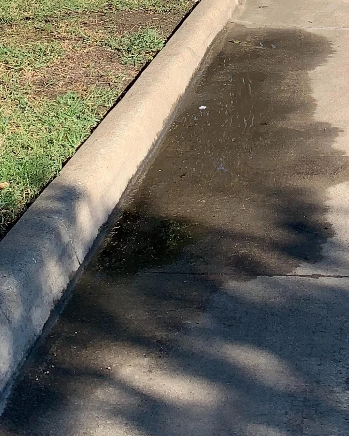 Non-Draining Water in an Alley